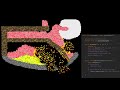 How To Code a Falling Sand Simulation (like Noita) with Cellular Automata