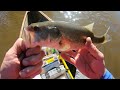 Fishing Blade Baits for Fall Bass:  Stewart Lake