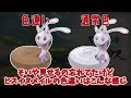 全色証６００族捕まえるたび？総集編　おまけもあるよ！【ゆっくり実況】【ポケモンＳＶ・剣盾・レジェンズ】