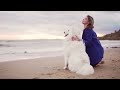 DOG TV: Anti Anxiety & Boredom Busting Video with Dog Music! All-New Adventure Experience for Dog