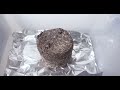 All-In-One Grow Bags | Grow Mushrooms FAST and EASY! | No Experience Needed | Virtually Error Proof