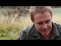 Rescue Dog Owner Desperate To Save Best Friend 😢 | Bondi Vet Season 6 Ep10 | Bondi Vet Full Episodes