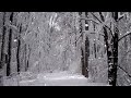Calm Your Mind with 10 Hours of Snow Blizzard Storm Sounds