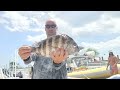 GIANT Sheepshead, Flounder (Catch, Clean & Cook) Spearfishing Bill Perry Shipwreck Murrells Inlet SC