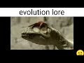 evolution lore ;-;