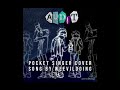 AUDIT - weevildoing ( pocket singer cover )