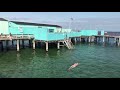 Helgoland Badeanstalt Helgoland Søbadeanstalt  #dk #danish #sea #shortvideo #shortsvideoviral #viral