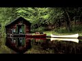 Cabin & Canoes on the Lake in the Woods | ASMR Ambience for Relaxation Reading Meditation Sleeping