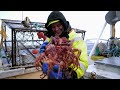 Sig's RISKY Plan To Find Troll Crab | Deadliest Catch: The Viking Returns