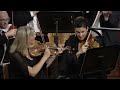 Johann Strauss II: Emperor Waltz op. 437 | Musikverein Vienna | #WJSO_AT