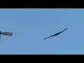 B-2 Spirit Flying Over Ft. Campbell At The Week of the Eagles Airshow