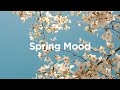 Spring Mood Playlist 🌿 Chill Vibes for Sunny Days 🌷