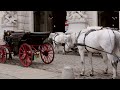 Horse Carriages in Vienna Inner City