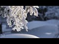 11 HOURS 4K: Winter Wonderland 2: Ambient 4K Nature Relaxation™ Film + Soothing Hang Drum Music