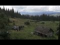 hiding in an abandoned log cabin from the rain , no one has lived here for 20 years