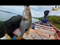 Berpetualang Berburu Predator Muara,Mancing Kakap dimuara Borneo pake Umpan Jitu#mancingmaniaterbaru