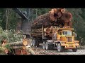 FS 22  Silverrun for real 08 log truck drivers part 2.. lotta gears