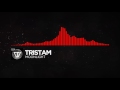 [DnB] - Tristam - Moonlight