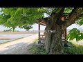 [vlog] Visiting my Grandma 🖼 Countryside South Korea