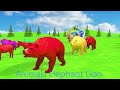 Paint & Animals Mammoth,Gorilla,Lion,Duck,Cow,Panda Fountain Crossing Transformation Animal Cartoon