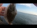 Summer Fluke at the Lighthouse, LBI