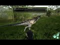 How To Win Every Pachy vs Carno 1v1 -(UP6)- The Isle Evrima Tutorial