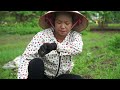 The Man Silently Helped Single Girl - Harvest Peanuts in the Field Goes to Market Sell | Garden Life