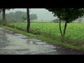 💧[4K] Heavy Rain on a country road. Rain Sounds for Deep Sleep . Relaxation .Ultimate Stress Relief