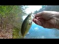 Success with New Hand Made Lure!!#video #viral #handmadelure #largemouth #pondfishing