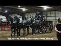 DRAFT HORSE SHOW!