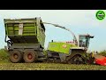 The Most Modern Agriculture Machines That Are At Another Level, How To Harvest Watermelon In Farm ▶4