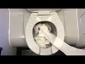 Will it Flush? - Airplane Flush 2