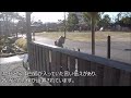 山口県　【足湯】　巡り⑩