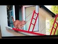 I Built The Golden Gate Bridge For My Cat