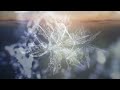 Liquid Bloom & Poranguí - Kuya Sessions Samadhi - Visual Odyssey 1 Hour Movie