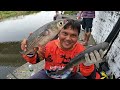 Momen langka..! Mancing di muara dapat ikan sebesar ini pemancing lain sampai heran