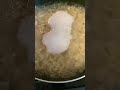 Super satisfying slow motion macaroni boil for 58 seconds.