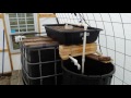 Mr.Prepared's hydroponics