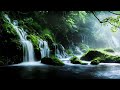 Relaxing music with beautiful waterfalls - #study/focus/meditate/read/sleep/relax... (4K)
