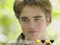 And Here’s a Video to Honor Cedric Diggory Bc We Miss Him R.I.P.