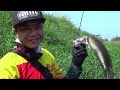 Mancing Ikan Gabus di Kubangan kecil hampir Kering Gak Nyangka Dapat Sebesar ini