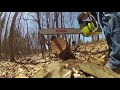 1988 Poulan 2000 chainsaw cutting