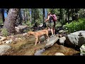 Lyons Creek Trail to Lake Sylvia in Desolation Wilderness, California