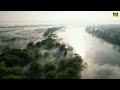 Nebelflug am Rhein | DJI Mini 3 Pro | 4K