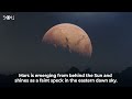 Don't Miss These Astronomy Events In February 2024 | Venus-Mars Conjunction | Meteor Shower|Jupiter