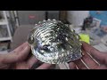 How to Polish an Abalone