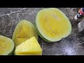 My First Taste of Yellow Meat Watermelon/Subscribers Shoutouts