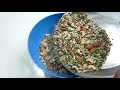 Roasted Seeds with Dry Fruits | Healthy Super Mix Seeds | Cranberries Mix Seeds/ Healthy Diet Recipe