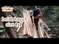 wood splitting using Stihl ms250, a small but powerful machine#chainsawman #woodworking #borneo