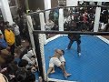 peleas en jaula jiu-jitsu